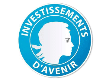 Logo officiel Investissements d'avenir