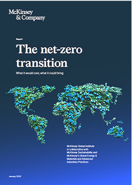 The net-zero transition: What it would cost, what it could bring McKinsey & Company, janvier 2022