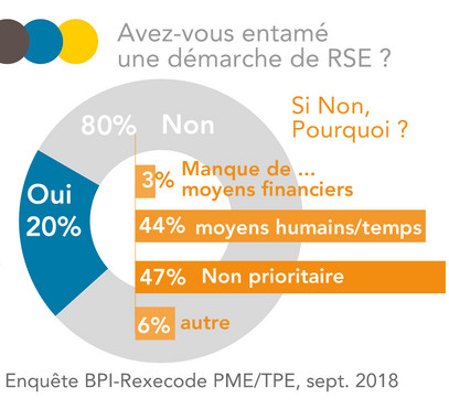 TPE/PME Démarche RSE enquête BPI le lab Rexecode sept. 2018