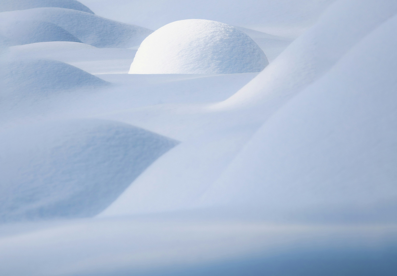 Daniil Silantev sur Unsplash