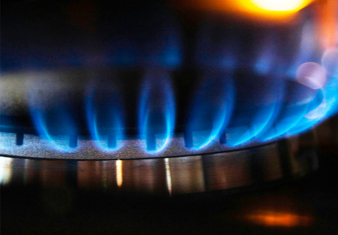 photo Mason Hassoun sur Unsplash