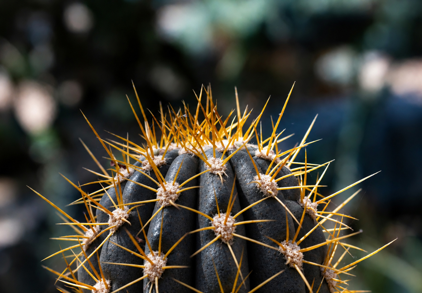 photo sergei lushchik sur unsplash (modifiée IA)