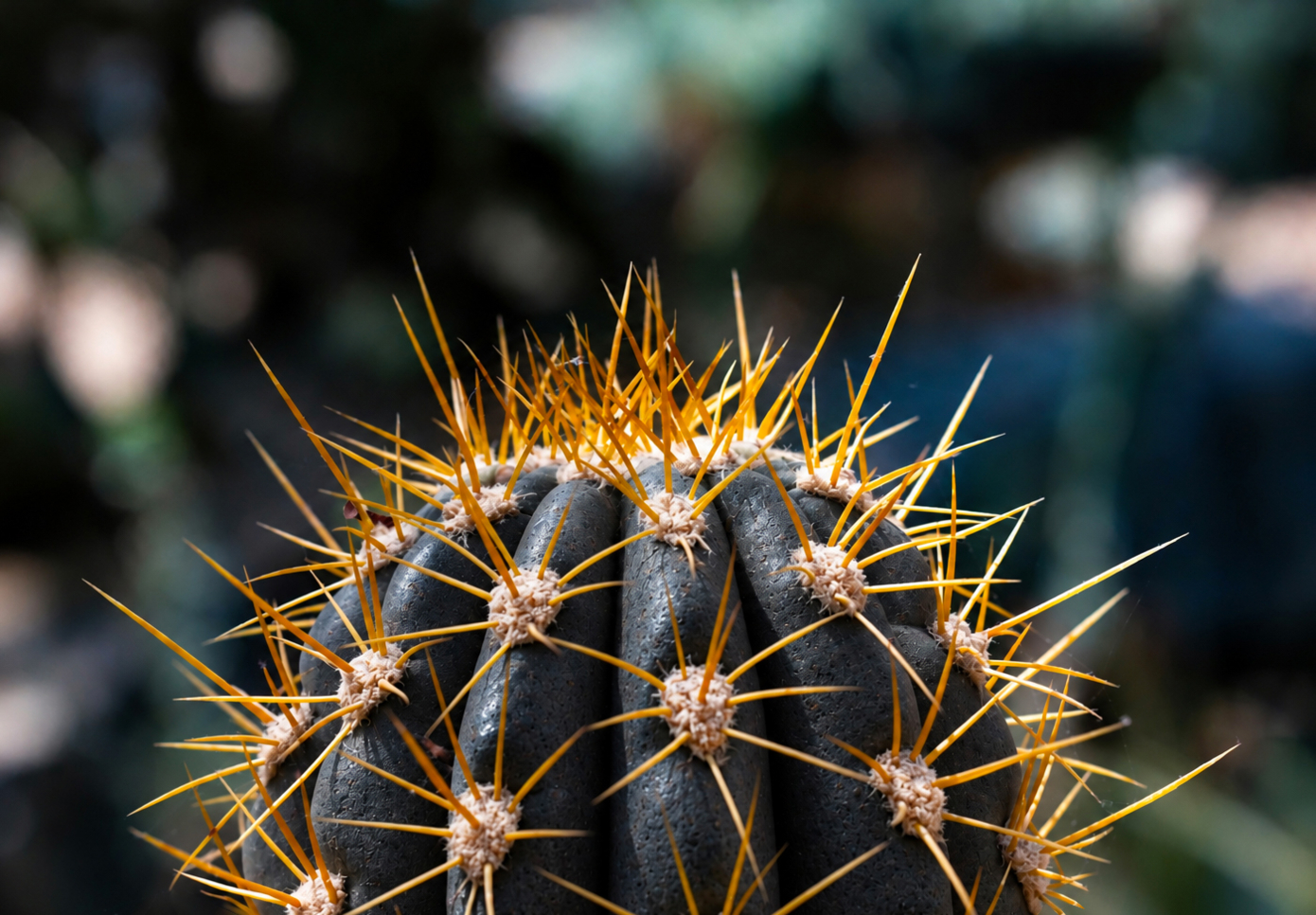 photo sergei lushchik sur unsplash (modifiée IA)