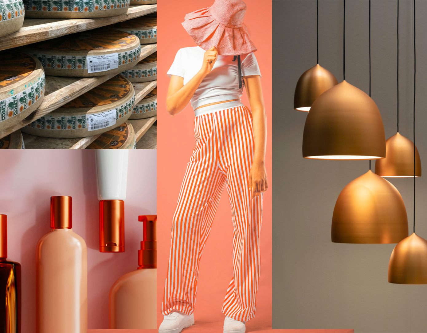 photomontage, photos Kelvin Mbilinyi, Gaetan Werp, Pmv Chamara, Jean-Philippe Delberghe  sur Unsplash