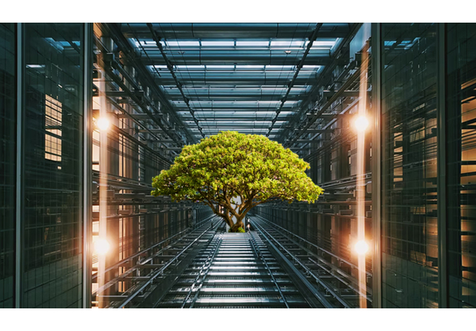 montage des photos de Ian Battaglia et Todd Quackenbush (Unsplash)