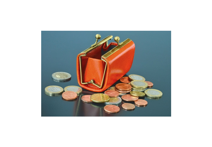 Purse and euro coins © Dariusz Kopestynski - Fotolia