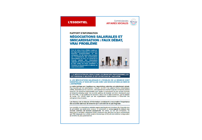 Rapport d'information fait au nom de la commission des affaires sociales par la mission d’information sur les négociations salariales (Synthèse, juin 2024)