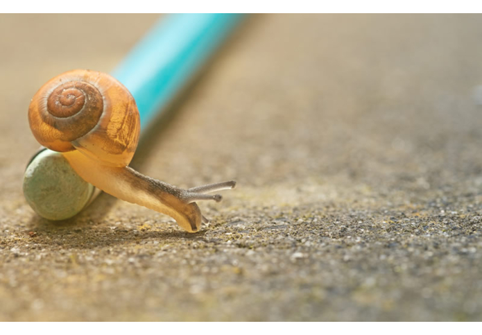 Photo by Pascal van de Vendel on Unsplash