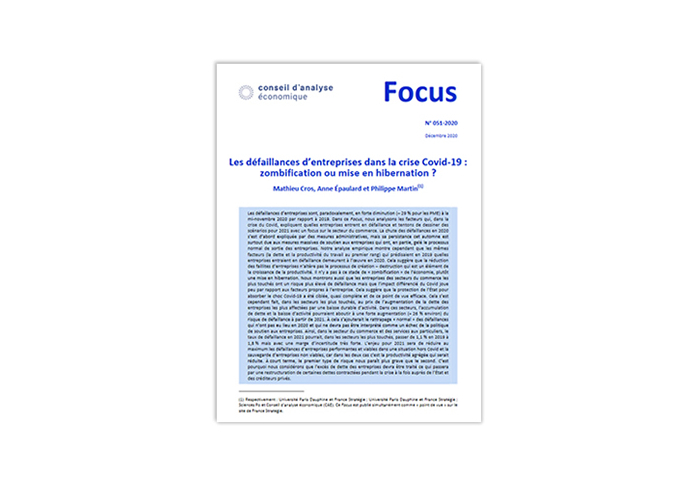 Focus CAE