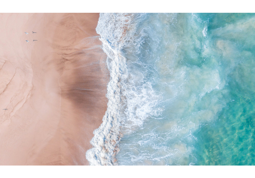 Photo Samuel Scrimshaw on Unsplash