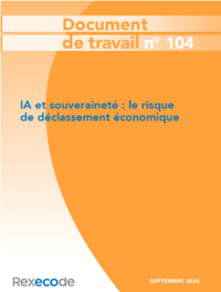 vignette doc Rexecode 104